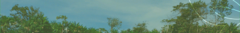 Banner da categoria Molhos