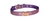 Coleira em Nylon com Gliter - Ref. 165 na internet