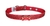 Coleira em Nylon com Gliter - Ref. 165