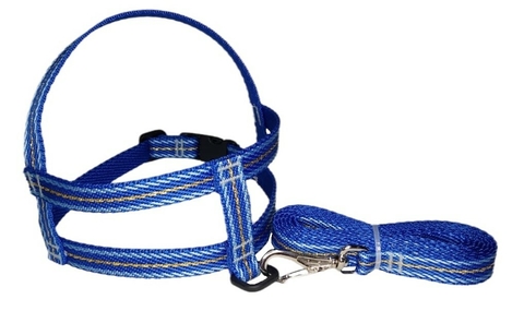 Conj. Peitoral Turin com Lurex - Ref. 594