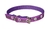 Coleira Nylon Turin com Lurex - Ref. 595 na internet