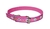 Coleira Nylon Turin com Lurex - Ref. 595 - Couraça Pet