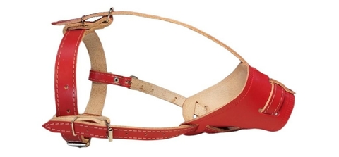 Focinheira de Couro Tradicional - Ref. 36