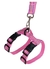 Conj. Peitoral para Gato Turim com Lurex - Ref. 52.6 - comprar online