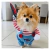 FANTASIA CHUCKY - loja online