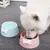 Tigela De Água Para Pets Pequenos - Feito Filho Pet