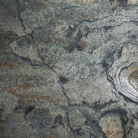 Alecrim 61 x 122 cm