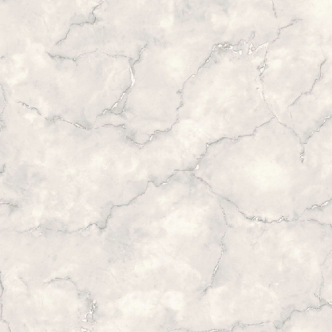 León Gris 32x47