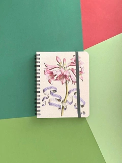 NOTEBOOK CHICO 2 - comprar online