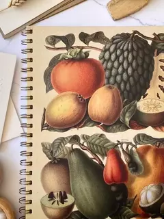 LIVERPOOL - FRUTAS