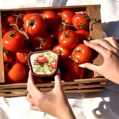 VELA DE LA HUERTA HOJAS DE TOMATE en internet