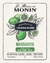 MONIN JARABES 750 ML (VIDRIO) MARGARITA (HORECAS) - comprar en línea