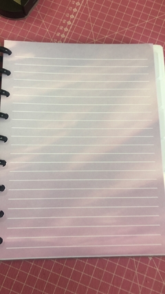 Imagem do Caderno de Discos - M