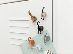 6 Lindos Y Divertidos Imanes Decorativos De Fotos De Gatitos - comprar online