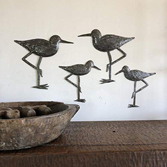 Imagen de Aves Costeras De Arenero, Pájaros Ornamentales, Arte Decorat