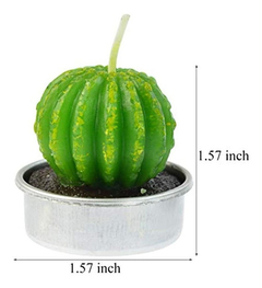 6 Velas De Cactus Velas Delicadas Velas De Cactus Suculentas - Danielle's Store