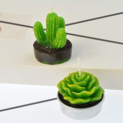 6 Velas De Cactus Velas Delicadas Velas De Cactus Suculentas - tienda online