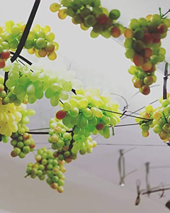 Uvas Artificiales - tienda online