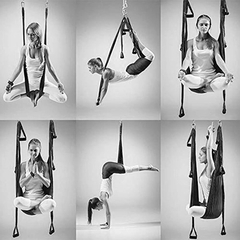 Imagen de Juego De Columpios Sotech -para Yoga Y Yoga 2 Correas