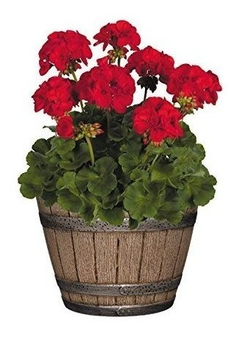Jardinera De Barril De Whisky Roble Envejecido, 9 '' - comprar online