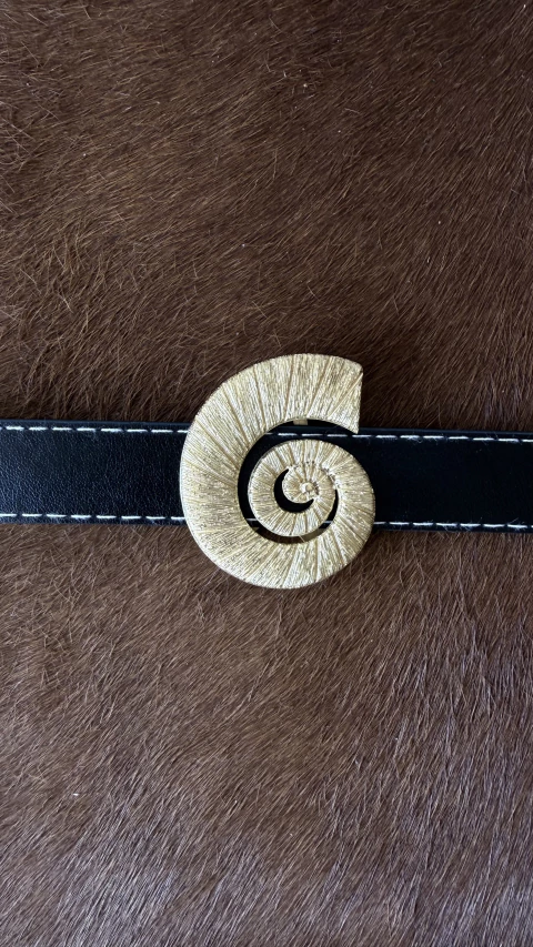 PIN CARACOL - PARA CINTO