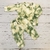 Buzo Bebe Batik en internet