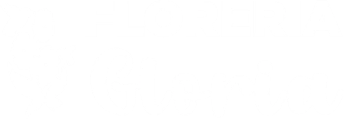 Floreria gloria