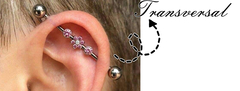 Banner da categoria Tranversal