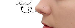 Banner da categoria Nostril 