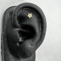 Imagem do Piercing flor com zircônias