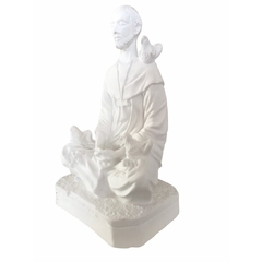 Imagem de são francisco de 20 cm em gesso na internet