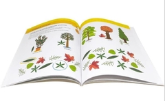 Meu primeiro livro de atividades Jardim - Montessori. na internet