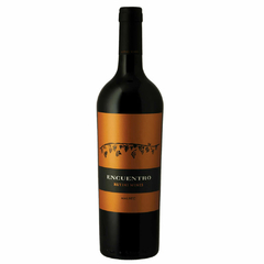 RUTINI ENCUENTRO MALBEC 750cc - RUTINI WINES