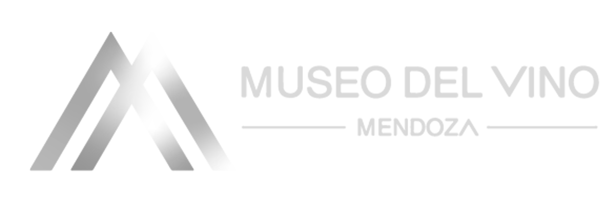 Museo del Vino