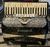 Oferta Imperdível: Acordeon Universal 2/4 de Voz - 120 Baixos - Made in Italy 