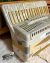 Acordeon 120 Baixos Titano Stroller Made in Italy  na internet
