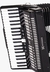 Acordeon Michael 120 Baixos (Produto Novo) - Super Gaitas Vendas de Acordeons