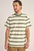 EVERYDAY STRIPE SHIRT VGR - comprar online