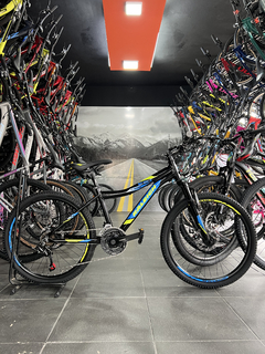 RALEIGH SCOUT VARON R24 en internet