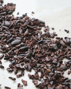 Banner de la categoría Cacao