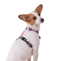 Kit Peitoral H Meninas Super Poderosas Ajustável para Cães FreeFaro - comprar online