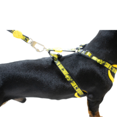 Kit Peitoral Air Batman Ajustável para Cães FreeFaro na internet