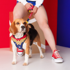 Kit Peitoral Air Mulher Maravilha Ajustável para Cães FreeFaro na internet