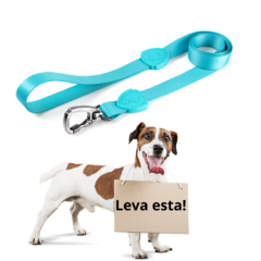 Guia para Cães 1,2m Scooby Doo SD FreeFaro na internet