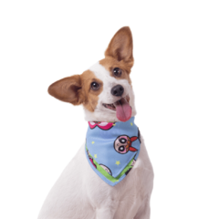 Bandana Meninas Superpoderosas para Cães e Gatos Freefaro - comprar online