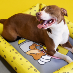 Cama para Cães e Gatos Tom e Jerry FreeFaro M - comprar online