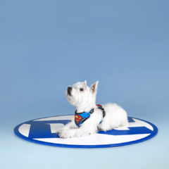 Peitoral Air Superman Ajustável para Cães FreeFaro na internet