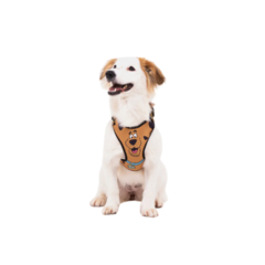 Kit Peitoral Air Scooby Doo Ajustável para Cães FreeFaro - comprar online