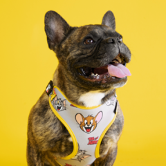 Peitoral Air Tom e Jerry Ajustável para Cães FreeFaro - comprar online