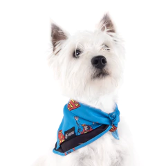 Bandana Superman para Cães e Gatos Freefaro - comprar online